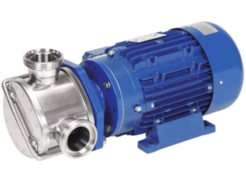 Liverani EP MINOR Flexible Impeller Pumps & Hygienic… | Castle Pumps