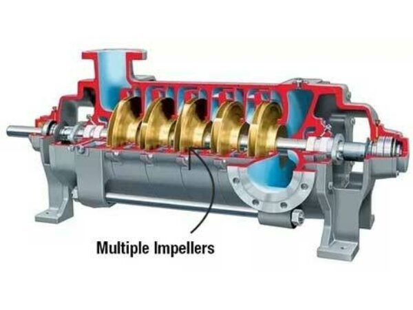 Centre Stage Pumps