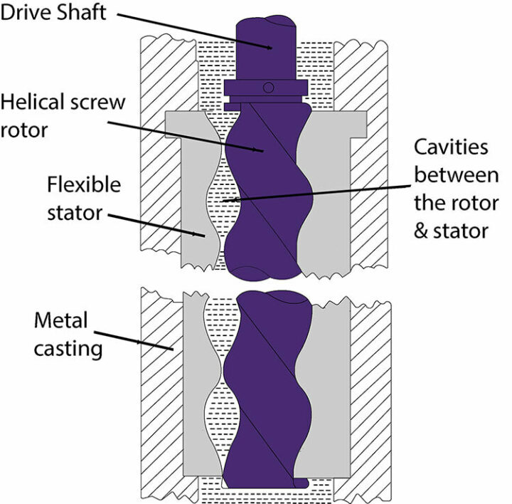 progressive cavity diagram