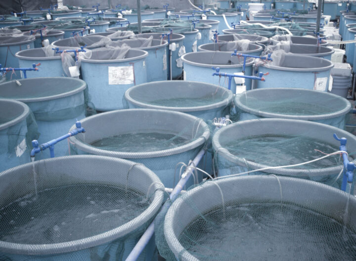 aquaculture