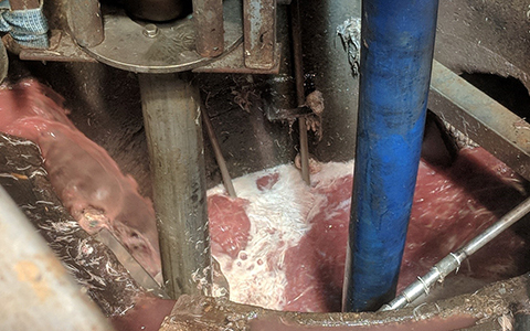 Abrasive Waste at Chicken Factory - Vertical Immersion Pump & Vortex Impeller