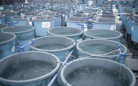 Aquaculture and Fish Farm Pumps