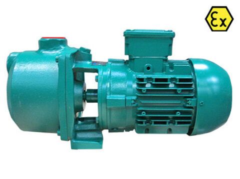 Azcue CA ATEX Close Coupled Self Priming Centrifugal Pump