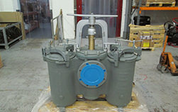 ANSI 150 duplex strainer